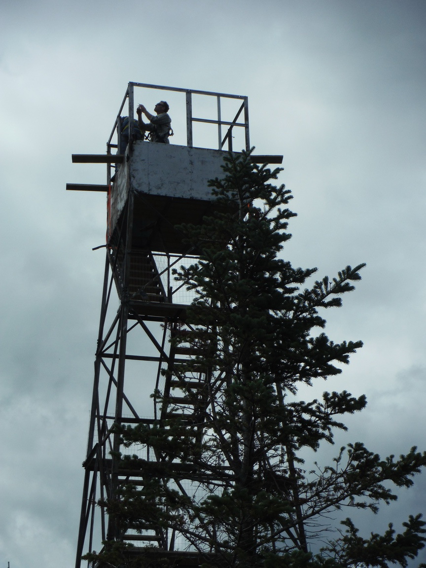 Removing Old Roof (23)