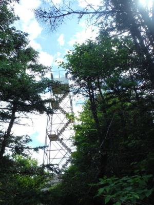 Removing Old Roof (31)